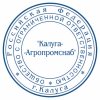 Печать организации 2 